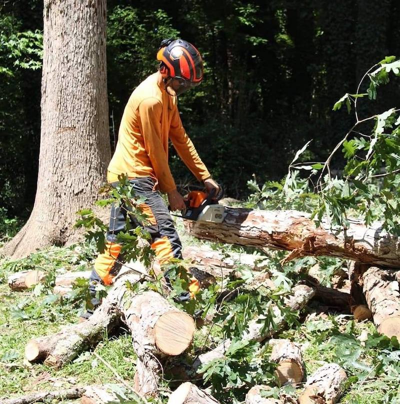 Next Generation Tree Service team member sawing a tree into smaller pieces.